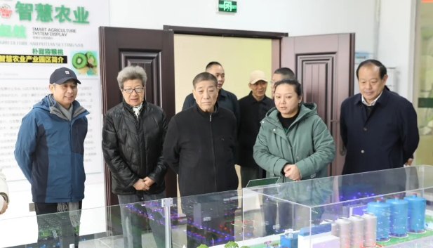 湖北省關工委一行赴武漢市新洲區調研并開展春節“五老”慰問活動