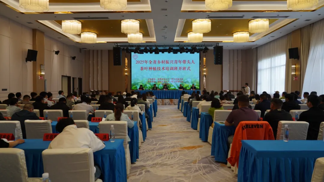 貴州省關工委舉辦全省鄉村振興青年帶頭人茶葉種植技術培訓班