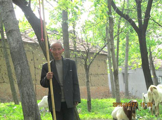 “最美五老”汪明啟——一桿放羊鞭救出三個娃