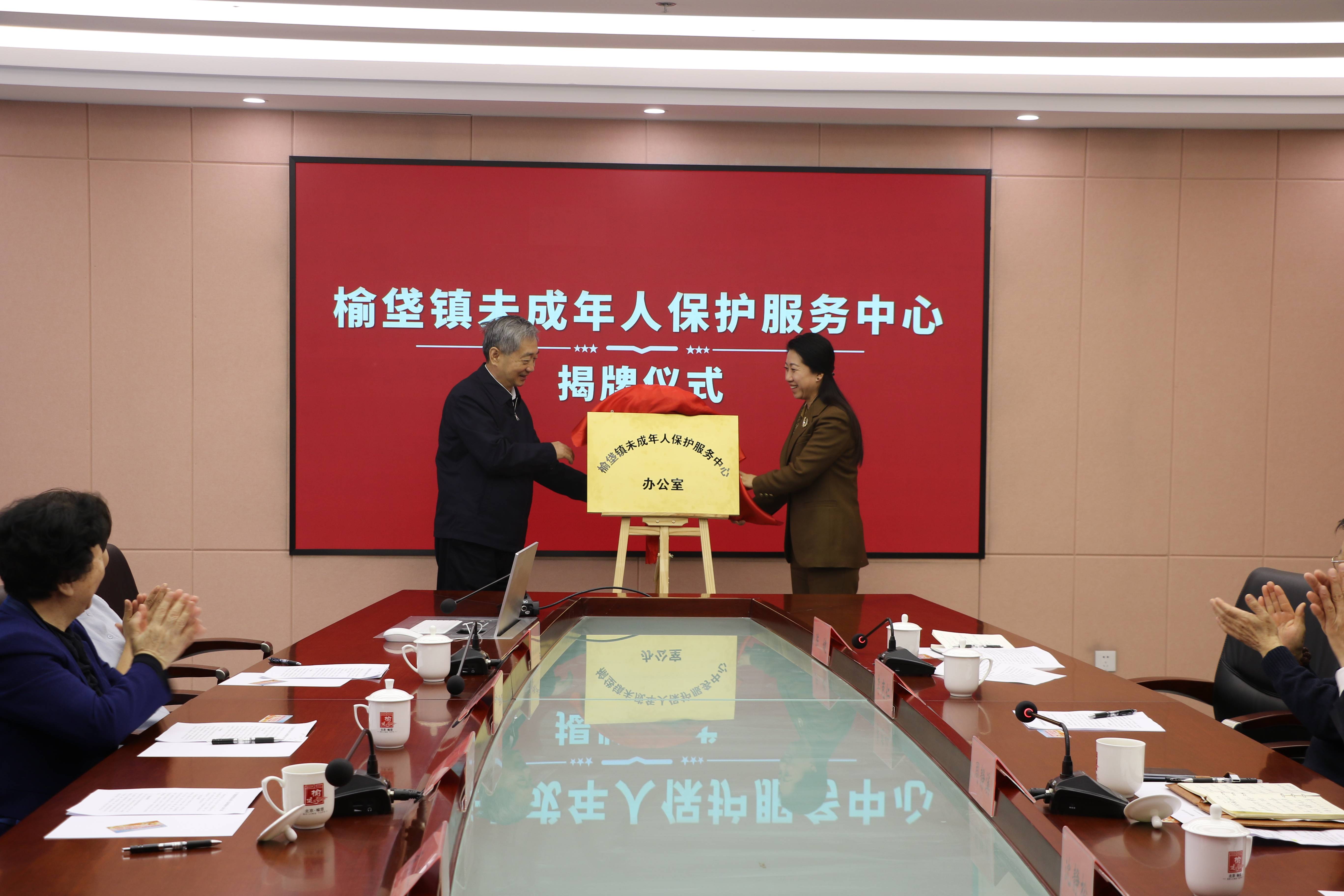 北京市大興區榆垡鎮關工委未成年人保護服務中心成立