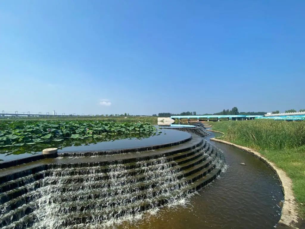 640.jpg