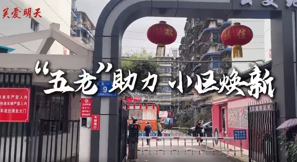 四川省成都市銀發(fā)力量細織“微網格”經緯